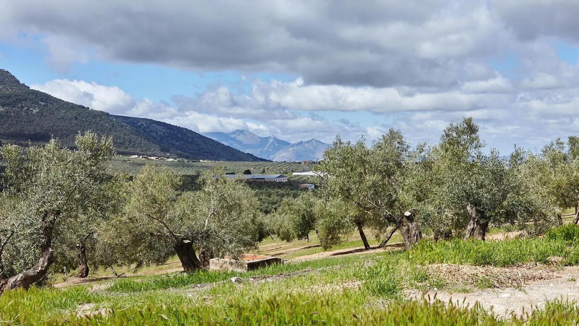 Casa Rural Cuesta La Pila Torres